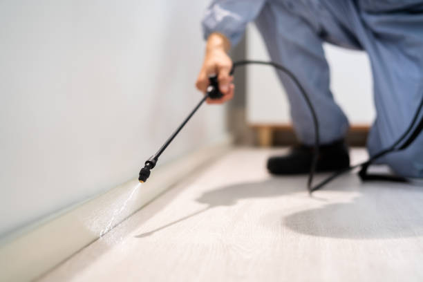 Licensed Cockroach Control service in Lugoff, SC - Nex Pest Control