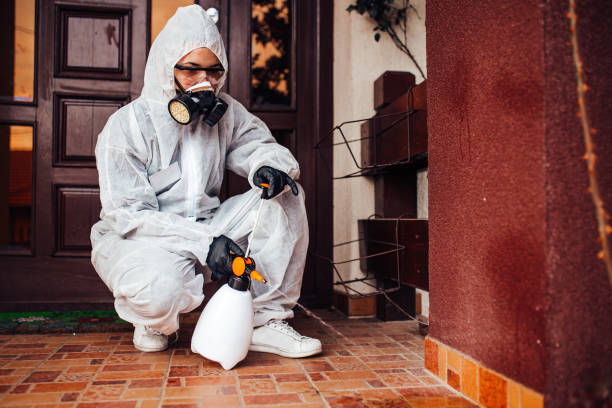 Reliable Cockroach Control contractor in Lugoff, SC by Nex Pest Control